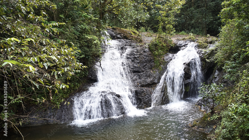 Fototapeta premium waterfall in jungle panama green