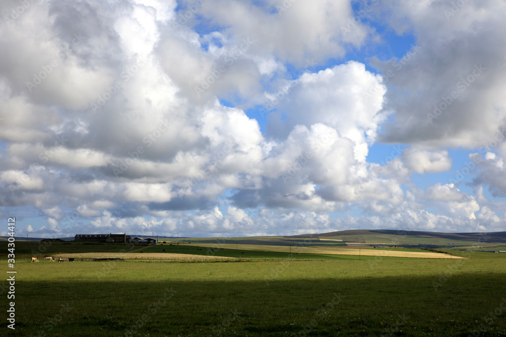Orkney (Scotland), UK - August 09, 2018: A typical landscape in the Orkney islands, Orkney, Scotland, Highlands, United Kingdom Orkney (Scotland), UK - August 09, 2018: A typical landscape in the Orkney islands, Orkney, Scotland, Highlands, United Kingdom