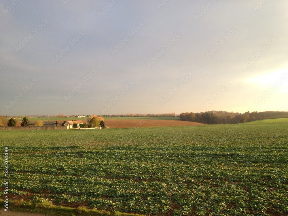 Quiet landscape 1 Quiet landscape 1