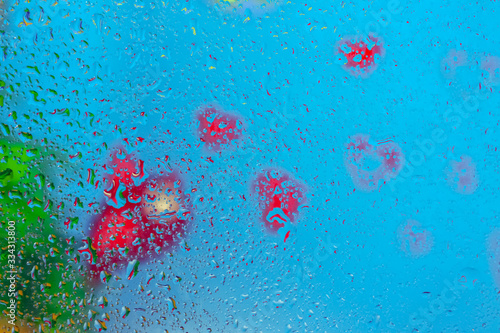 Fototapeta Naklejka Na Ścianę i Meble -  water drops on a multicolored background macro
