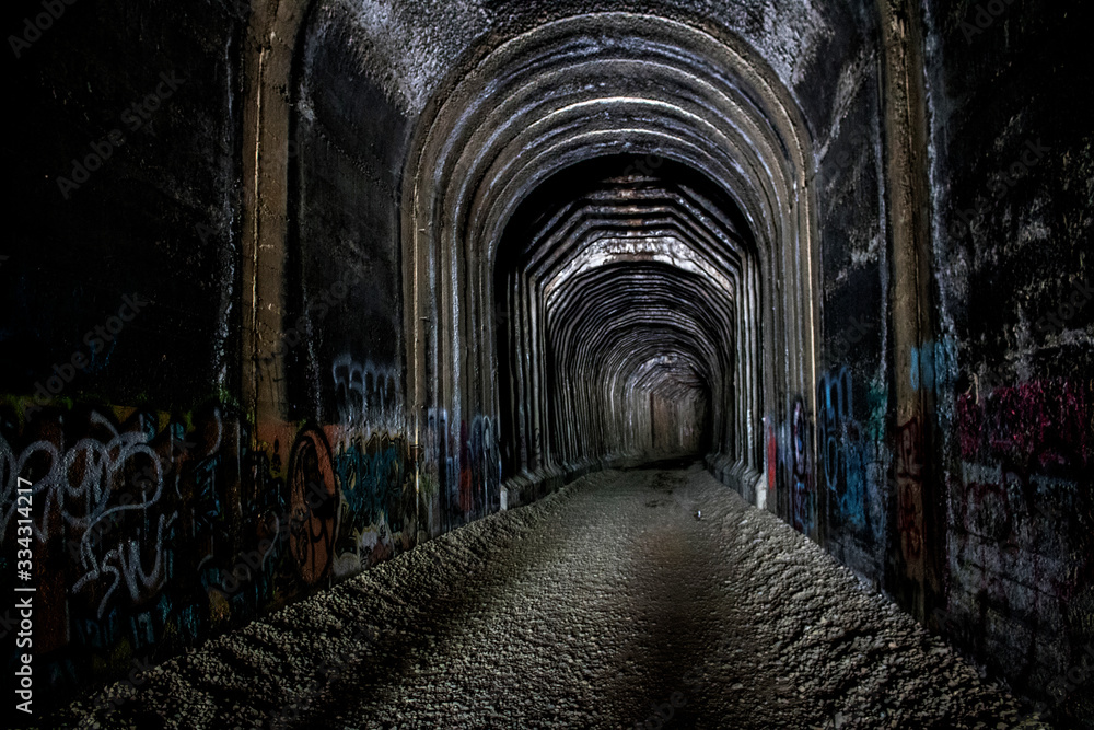 Naklejka premium Train tunnel in northern California with graffiti