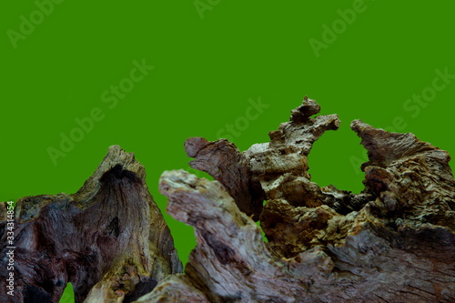 Obraz na plátně A Tree Stump, Showing the Rough Texture of the Decayed Wood with Rotten Key Holes of the Old Carbon Material