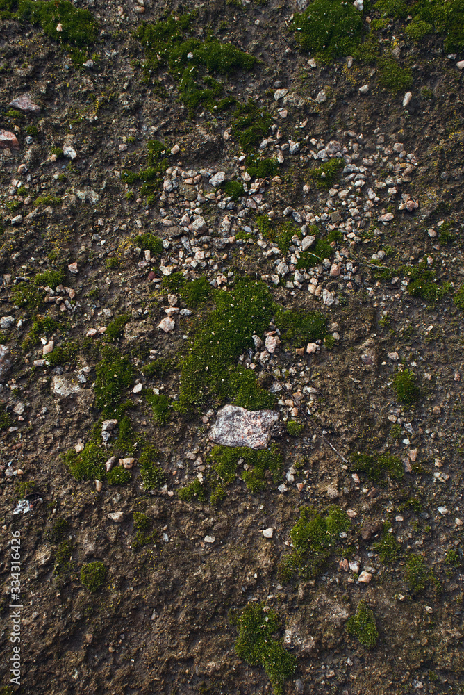 Green moss with granite on the ground Green moss with granite on the ground