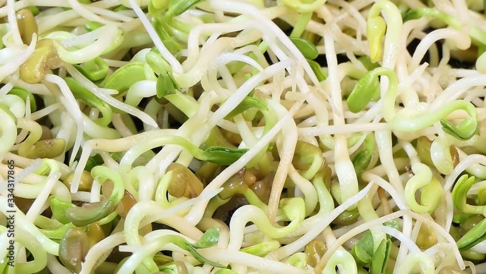 pan macro shot of radish sprouts background. nutrition. bio. natural food ingredient. pan macro shot of radish sprouts background. nutrition. bio. natural food ingredient.