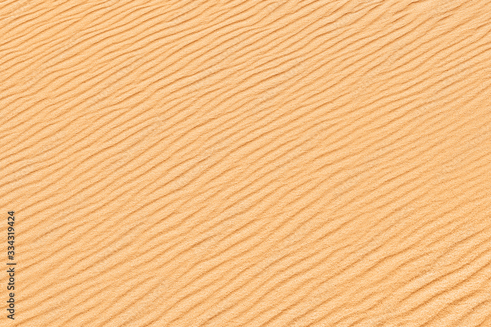 Fototapeta premium Desert background. Sandy dune backdrop. Sand texture.