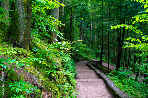 Schilderij op canvas Hocking Hills State Forest, OH
