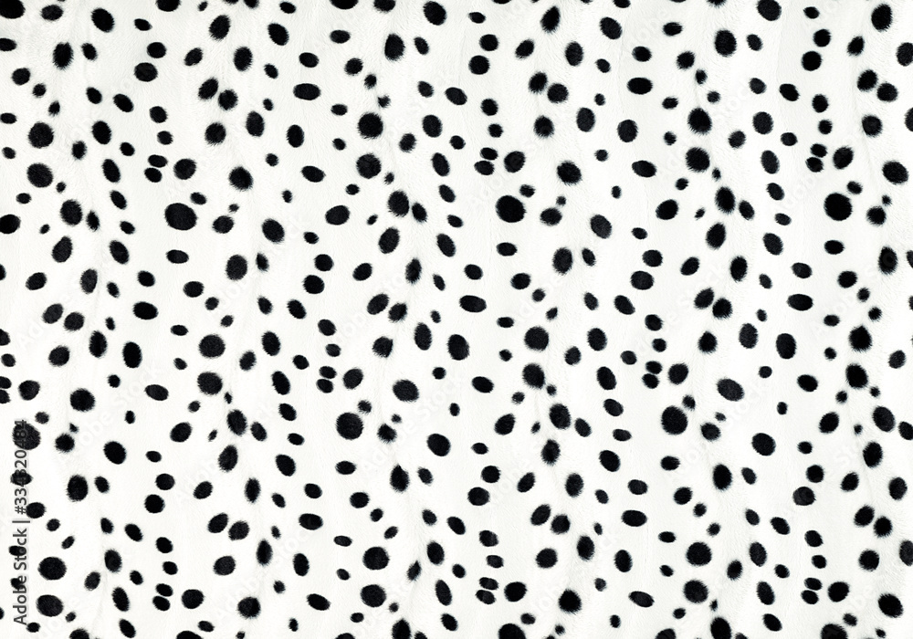 A pic of a piece of Black and White leopard skin print A pic of a piece of Black and White leopard skin print