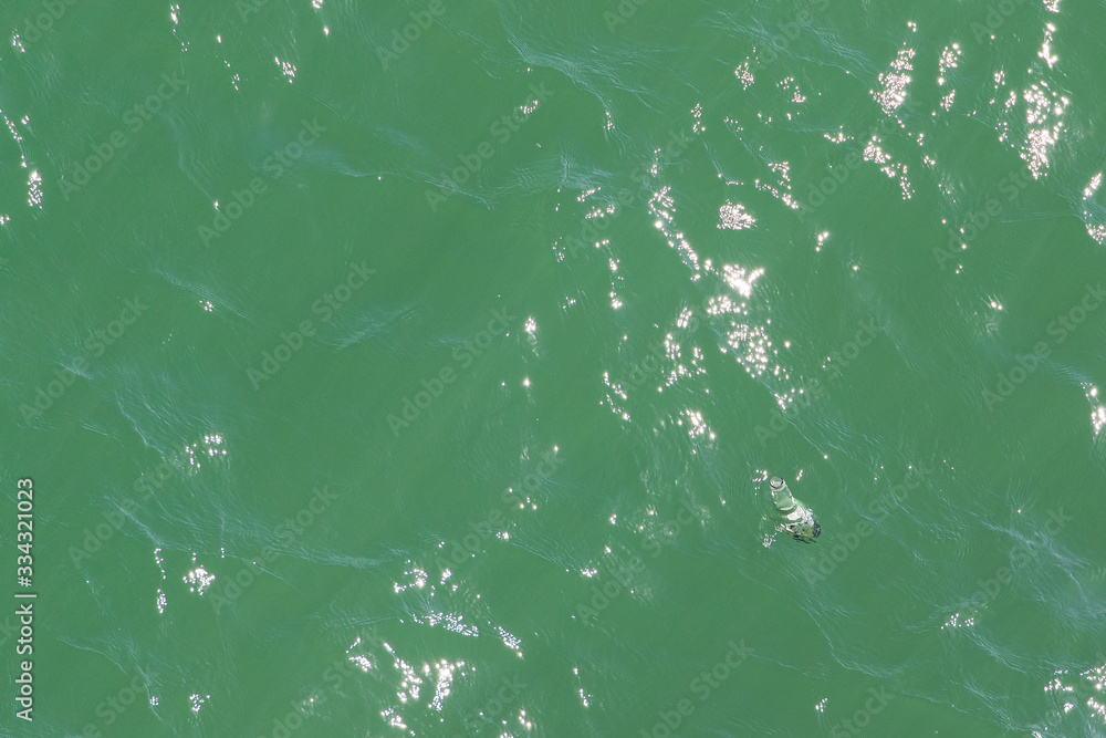 botella, . trash basura sea