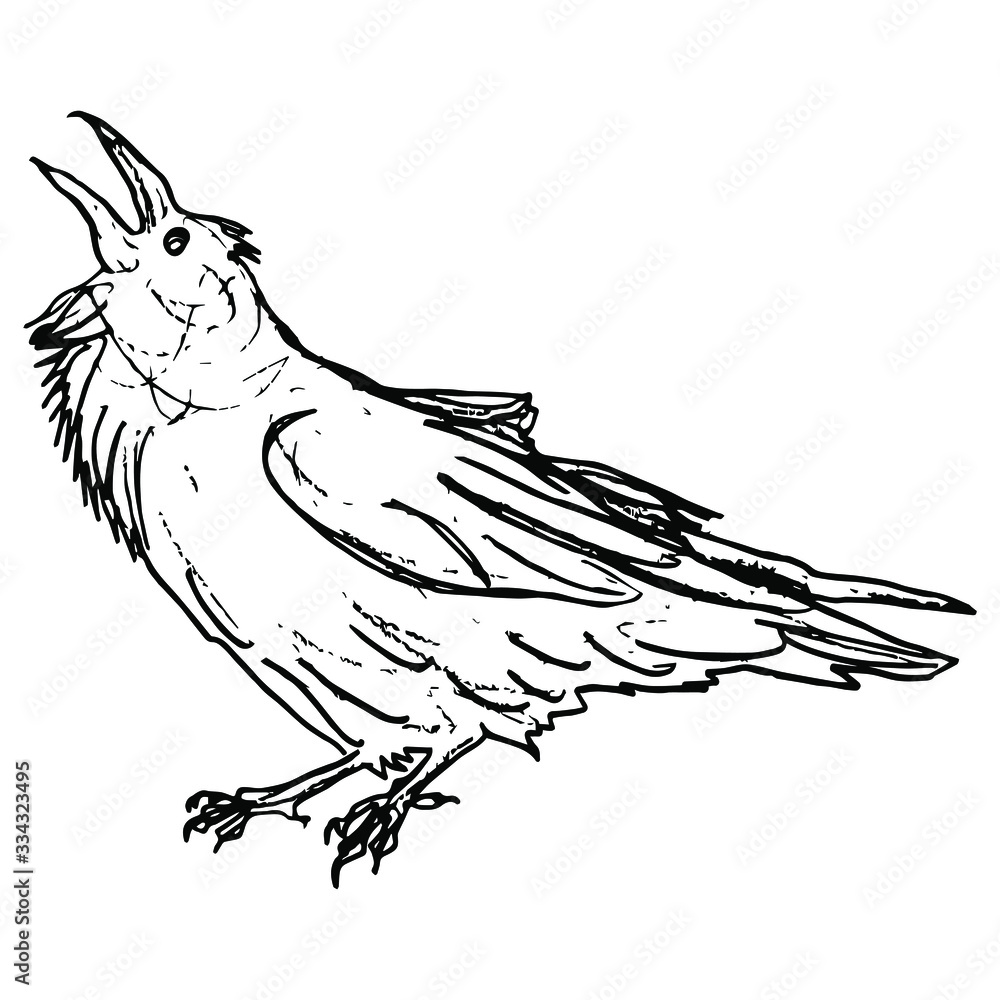 How to Draw a Bird Step by Step  EasyLineDrawing