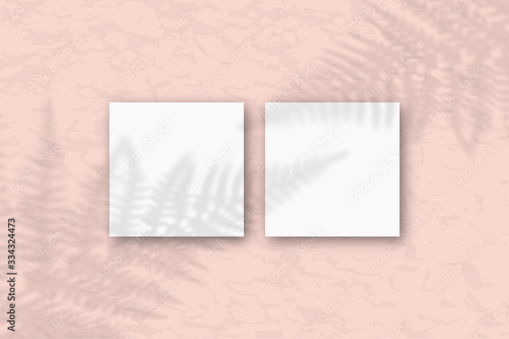 2 square sheets of white textured paper on the pink wall background. Mockup with an overlay of plant shadows. Natural light casts shadows from the fern leaves. Flat lay, top view 2 square sheets of white textured paper on the pink wall background. Mockup with an overlay of plant shadows. Natural light casts shadows from the fern leaves. Flat lay, top view