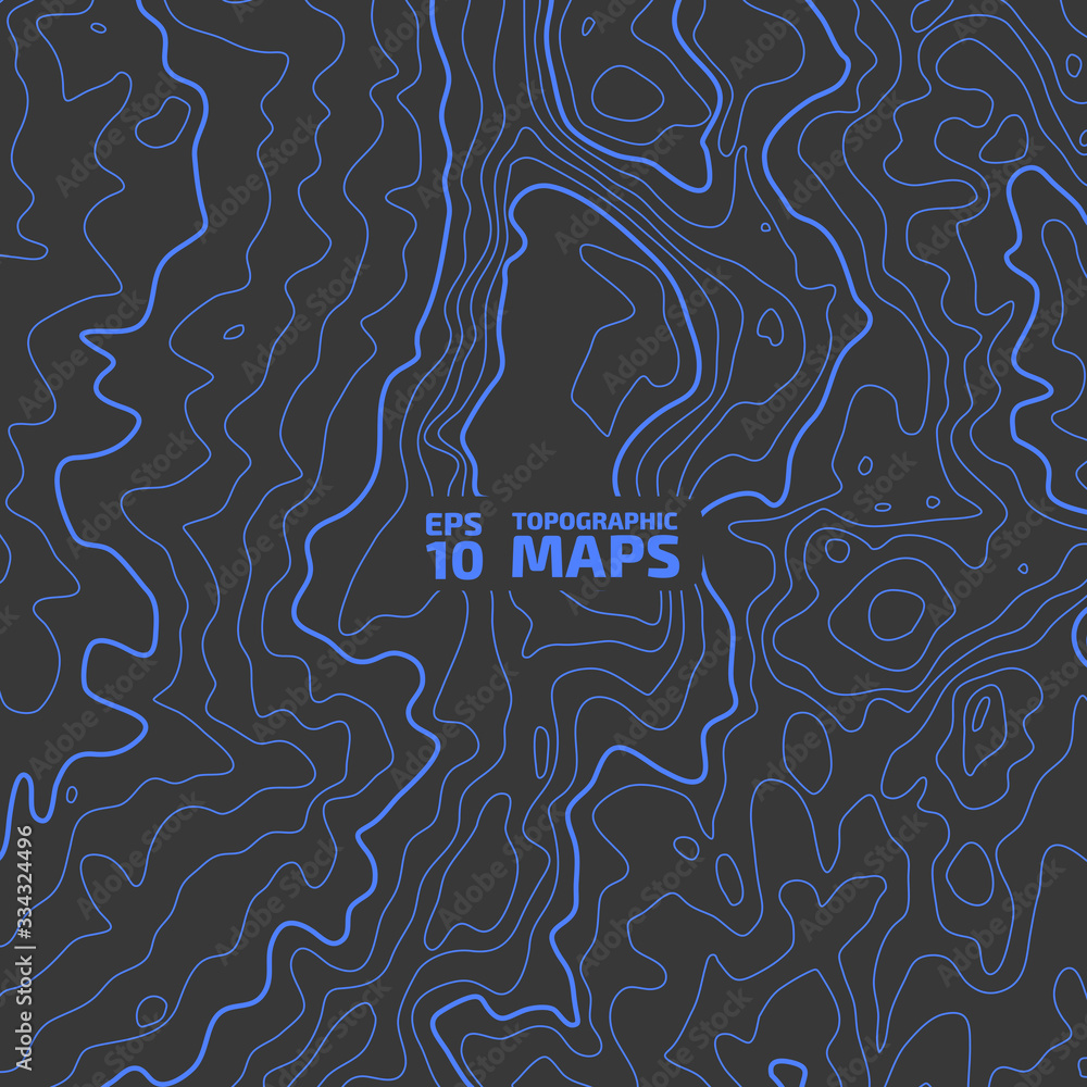 The stylized height of the topographic contour in lines and contours. The concept of a conditional geography scheme and the terrain path. Vector illustration.