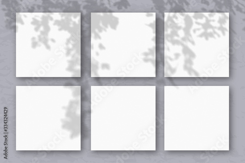 6 square sheets of white textured paper against a gray wall. Mockup overlay with the plant shadows. Natural light casts shadows from the tree's foliage. Flat lay, top view