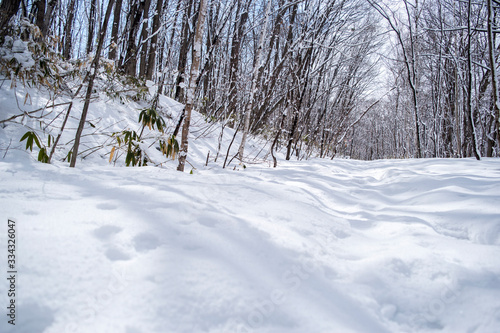 冬の山道 © hokkaido yuj