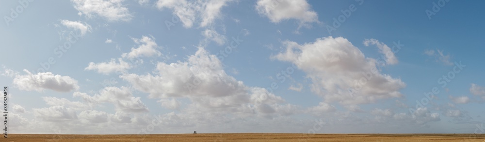 Fototapeta premium panorama of rural Australian dry grassy farm land stretching out under a cloud filled sky with native trees, good for native habitat, dotted along the horizon, Victoria, Australia