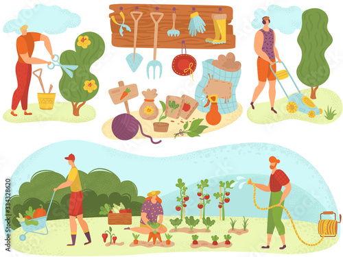 People with garden tools gardening, watering plants green vegetables in summer harvesting cartoon vector illusrtration. Gardener farm tools and agriculture equipment for planting at nature.