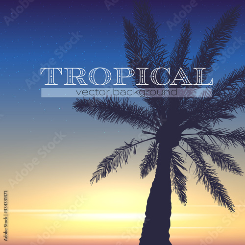 Tropical background. Silhouette of palm and sunset sky on tropical background. Summer evening. Vector design for banners. © eriksvoboda