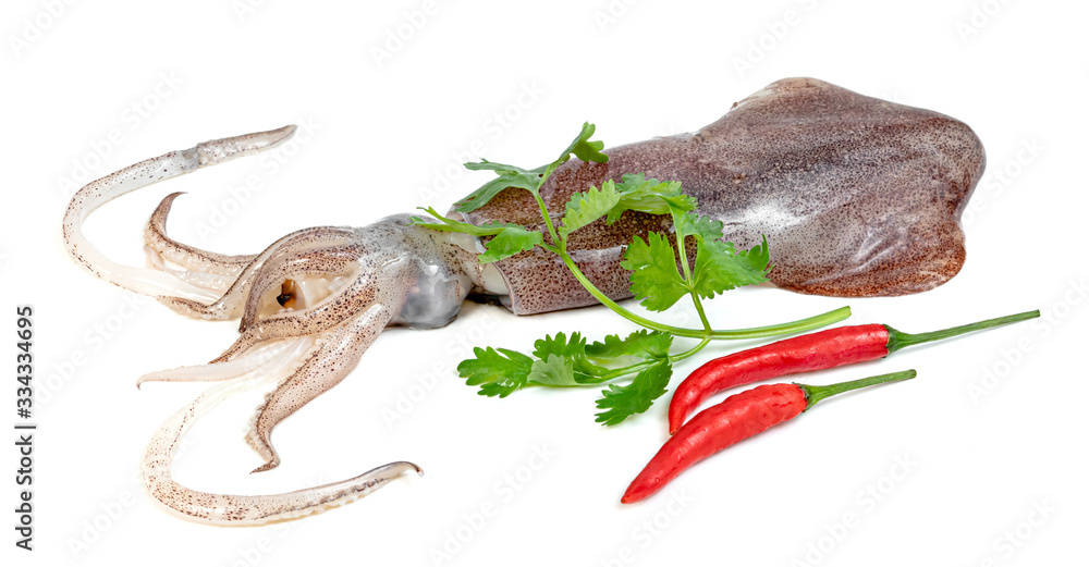 Obraz premium squid with chili and coriander isolated on white background
