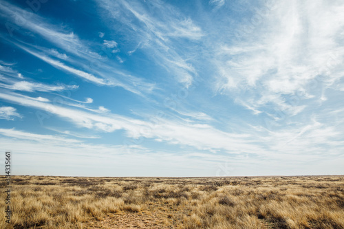 Texas Landscape