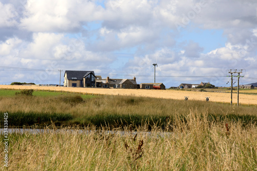 Orkney  Scotland   UK - August 10  2018  A typical landscape in the Orkney islands  Orkney  Scotland  Highlands  United Kingdom