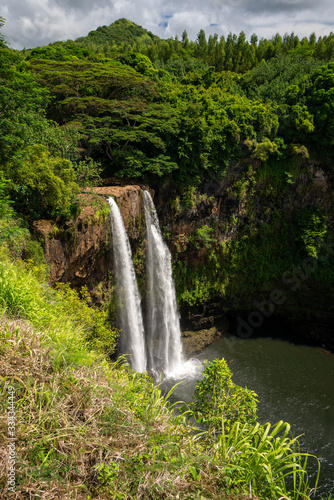 Twin waterfall in forest landscape