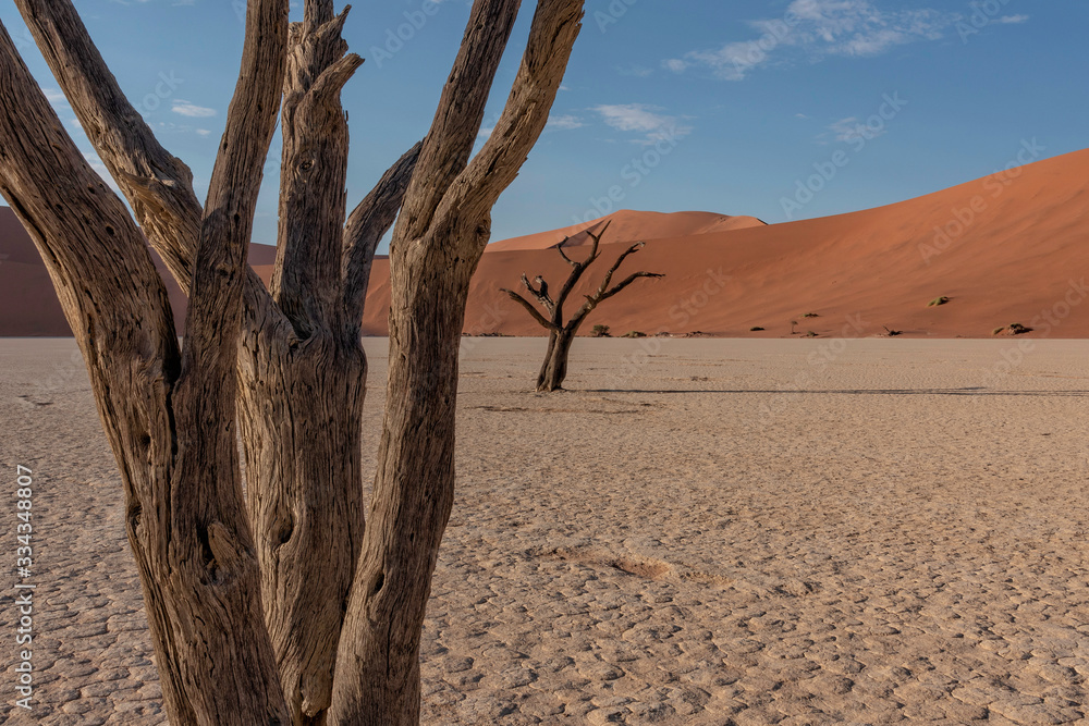 Dunes in Namib Naukluft National Park, Namibia