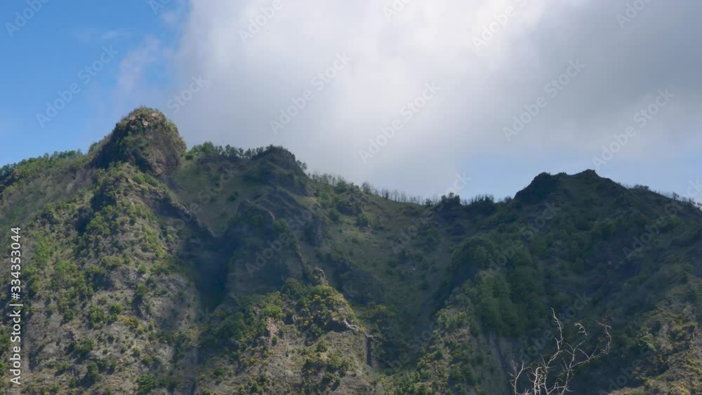 Left to right pan over mountains with evergreen trees and a blue sky with clouds Left to right pan over mountains with evergreen trees and a blue sky with clouds