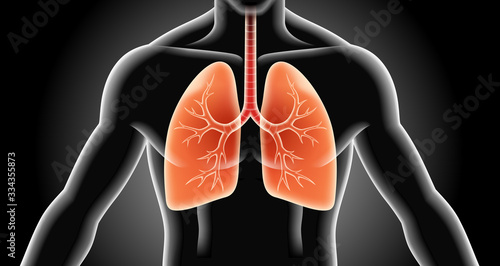 Lung x-ray vector background illustrations.