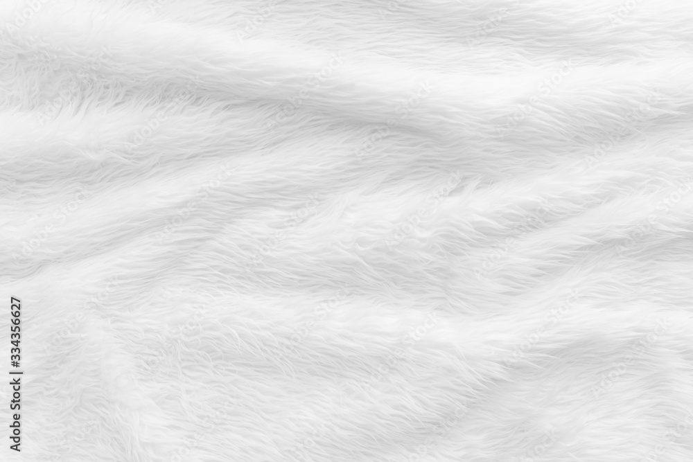 Fur background with white soft fluffy furry texture hair cloth of sheepskin for blanket and carpet interior decoration - obrazy, fototapety, plakaty 