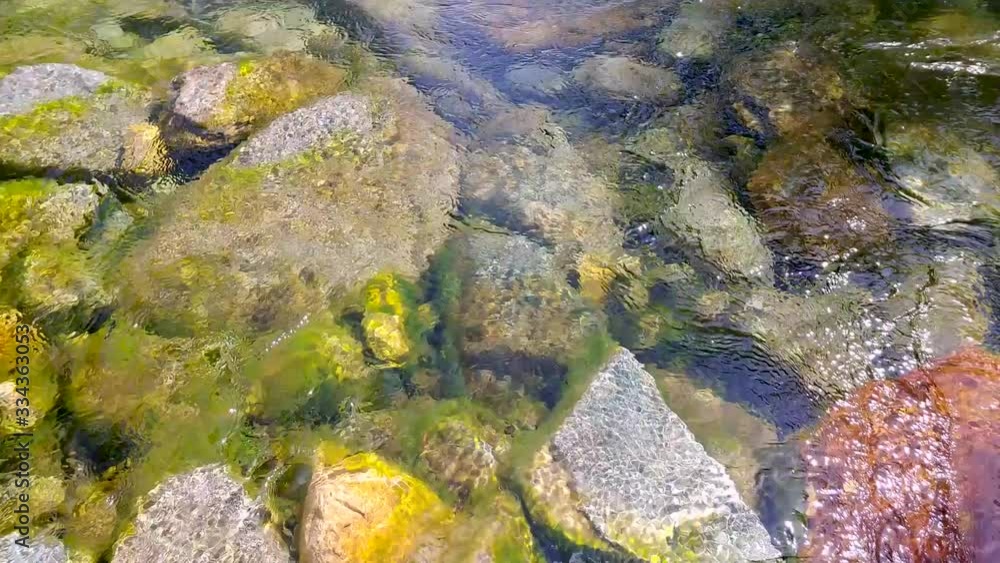 Water flowing Clear with rocks visible under the transparent ripples of river at tahoe national forest Water flowing Clear with rocks visible under the transparent ripples of river at tahoe national forest