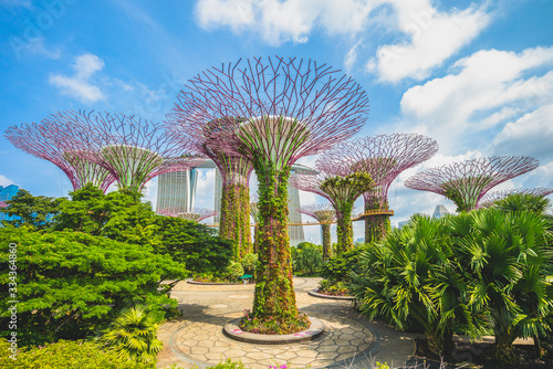 Landscape of Gardens by the Bay in singapore photo