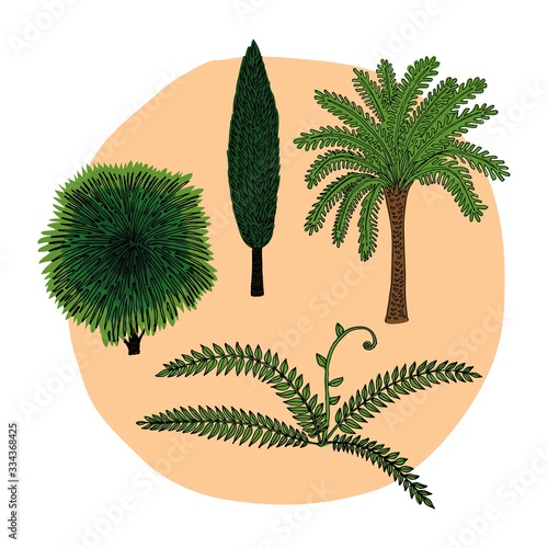 tropical background with palms