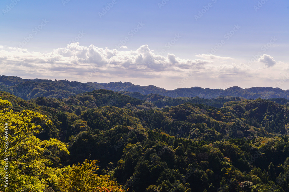 Japan - Chiba prefecture - Kururi : Aerial view of Kasama forest At Afternoon
