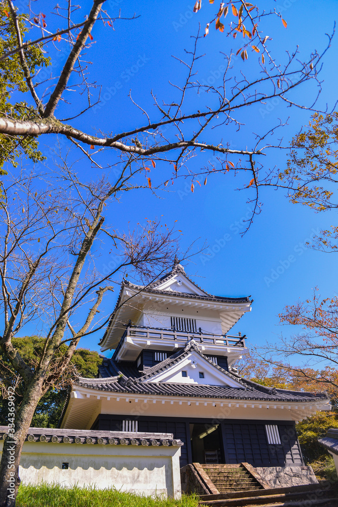 Japan - Chiba prefecture - Kururi 2013 : view of Kururi Castle At Afternoon Japan - Chiba prefecture - Kururi 2013 : view of Kururi Castle At Afternoon