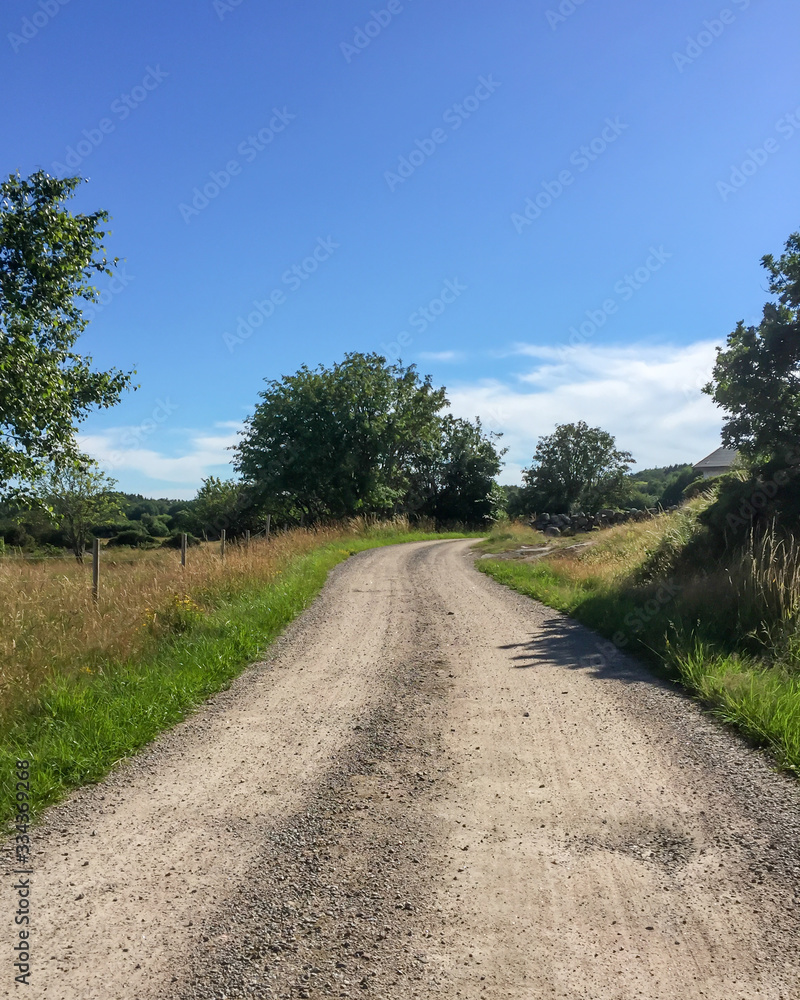 A straight gravel road in the countryside in Sweden. Summer feeling with sunshine and greenery.
