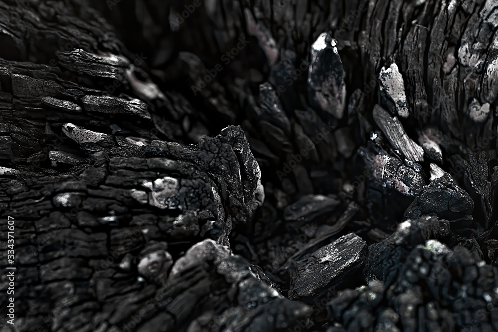 Burned wood texture. Selective focus (macroshoot) Burned wood texture. Selective focus (macroshoot)