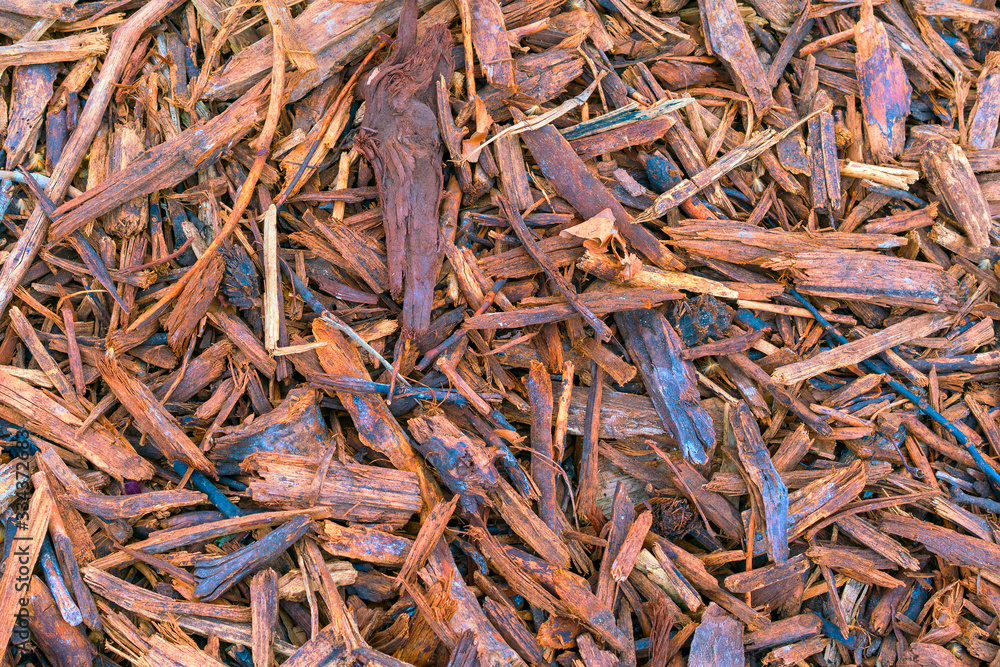 Wood chips as a natural background or texture for design.