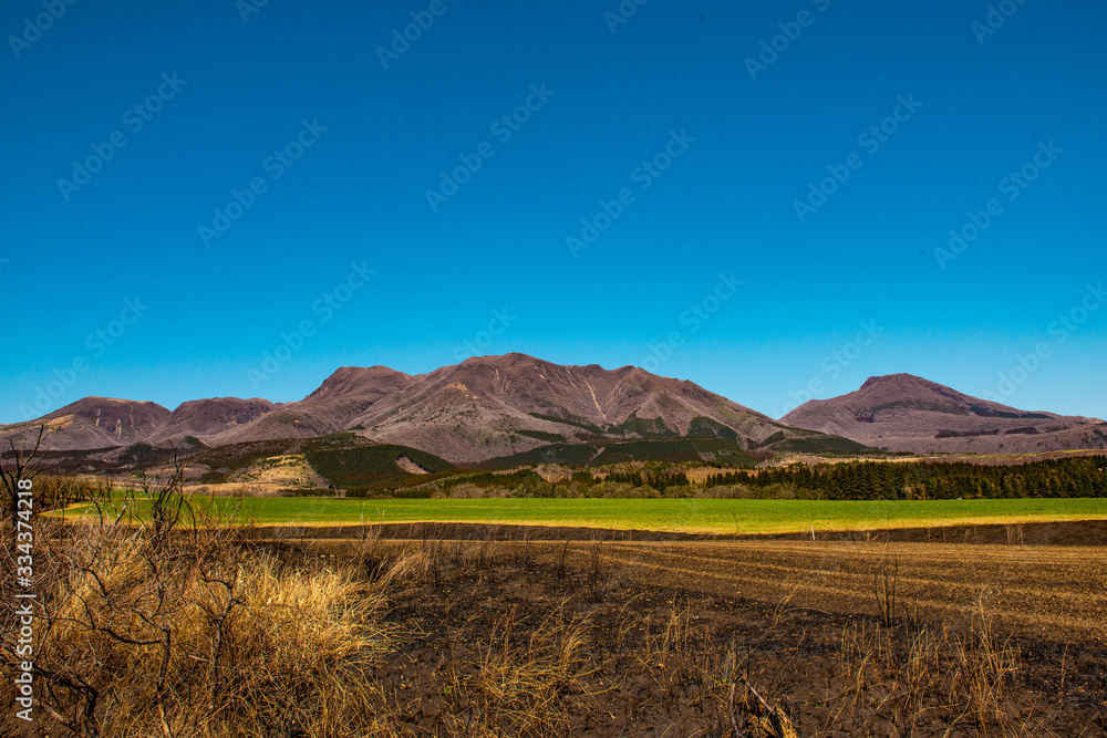 Fototapeta premium 久住高原