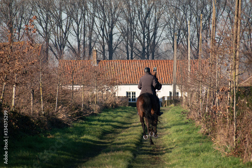 Horseback rider galloping © arnaud