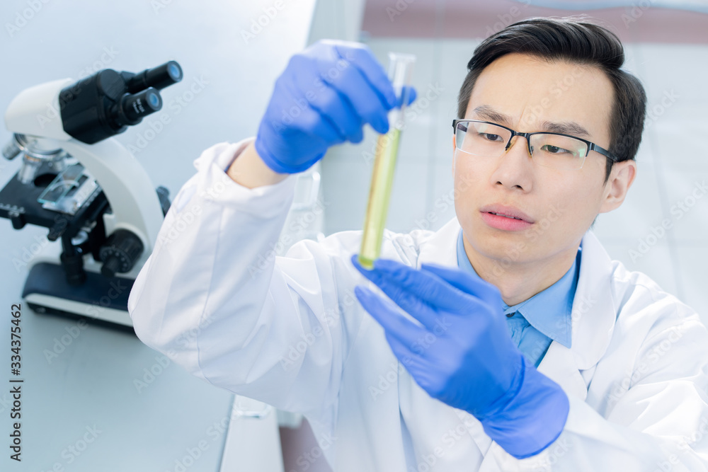 Young serious Chinese scientist looking at flask with liquid chemical substance Young serious Chinese scientist looking at flask with liquid chemical substance