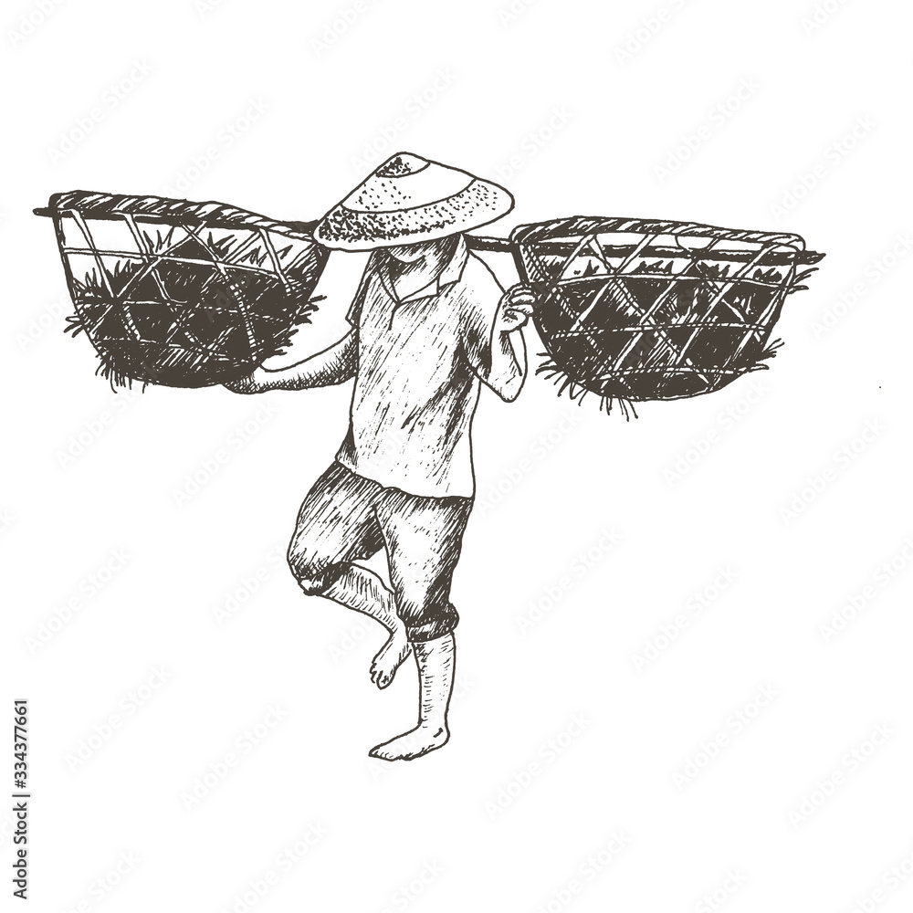 Asian Farmer In Conoid Hat Carrying Baskets With Grass On His Shoulders 