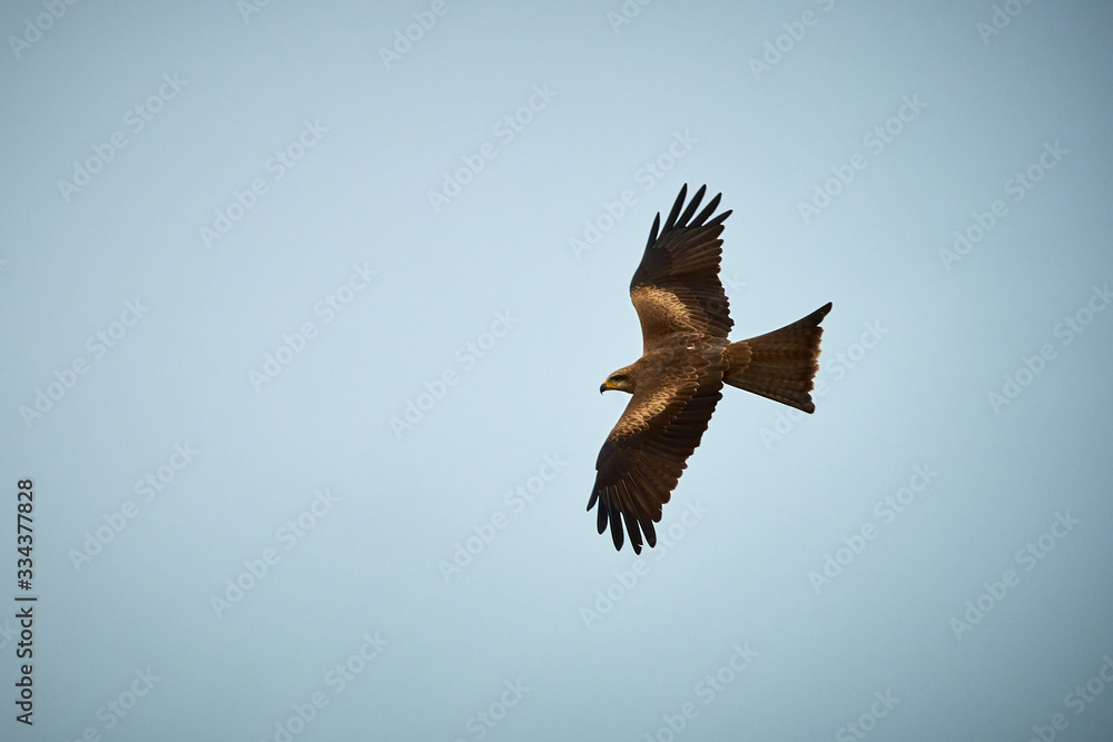 Obraz premium Darwin NT Australia