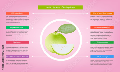 Infographic about Benefits of Guava for health concept for agriculture and healthy food