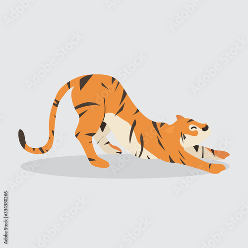 Cartoon tiger. Cute Cartoon tiger  Vector illustration on a white background. Drawing for children.