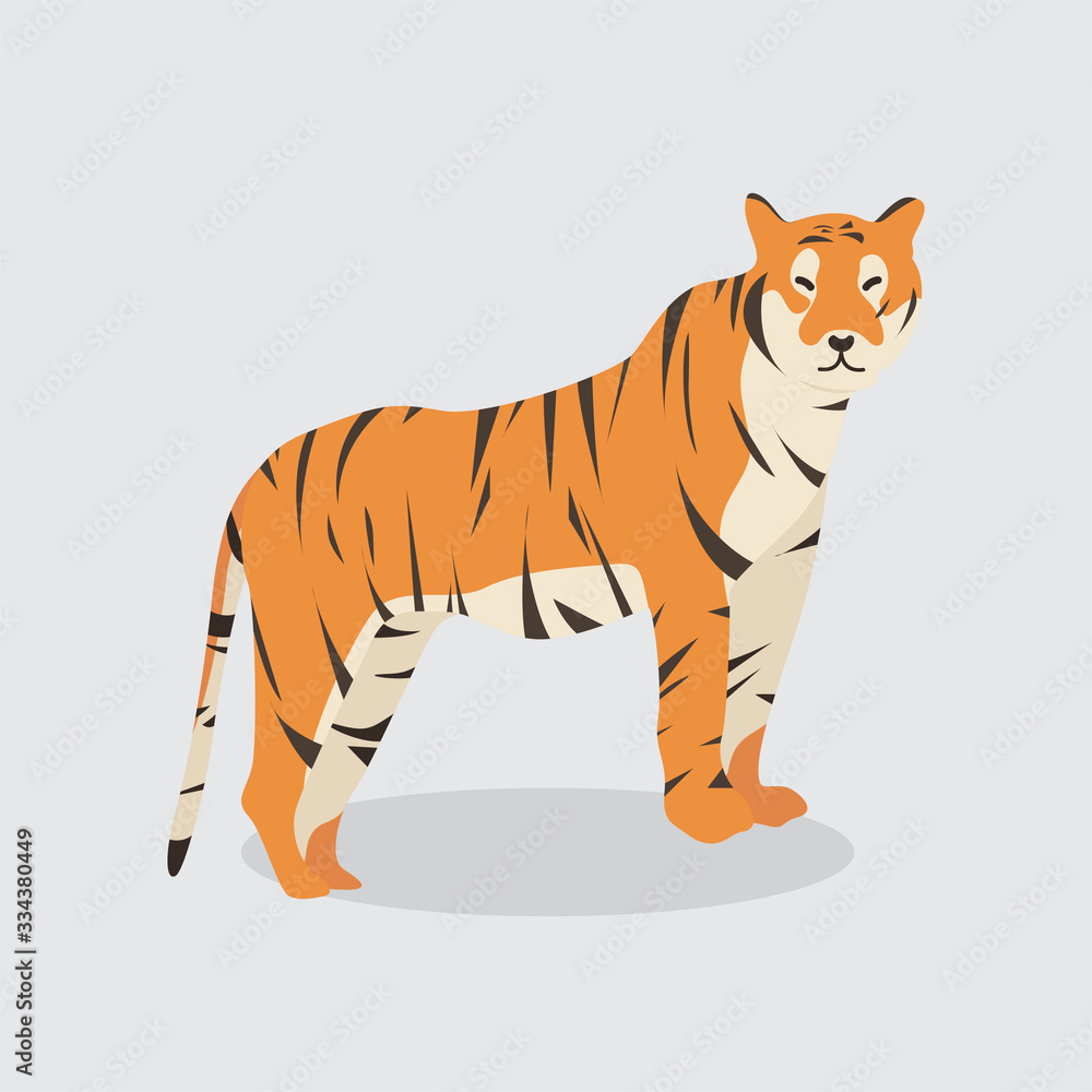 Cartoon tiger. Cute Cartoon tiger, Vector illustration on a white background. Drawing for children.