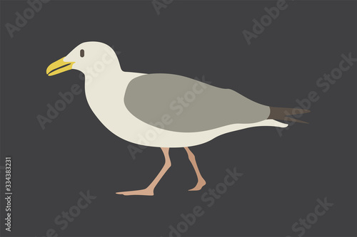 Cartoon seagull. Cute Cartoon seagull  Vector illustration on a grey background. Drawing for children.