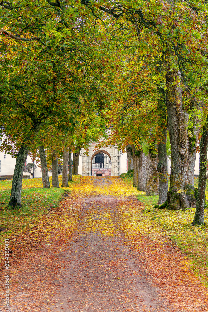 Naklejka premium Colonnade of autumn trees along a path to a castle