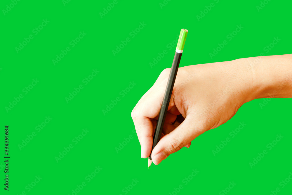 The hand holding the pencil on the isolated green background The hand holding the pencil on the isolated green background