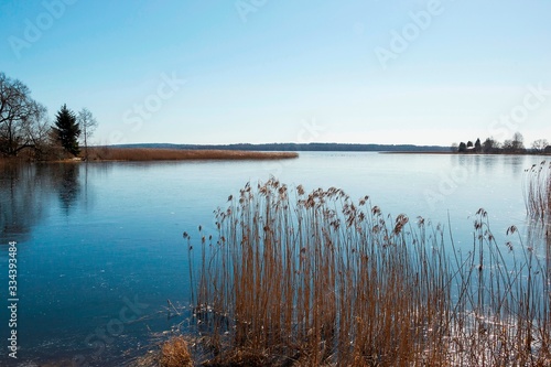 The shore of the lake with thin ice and the reeds