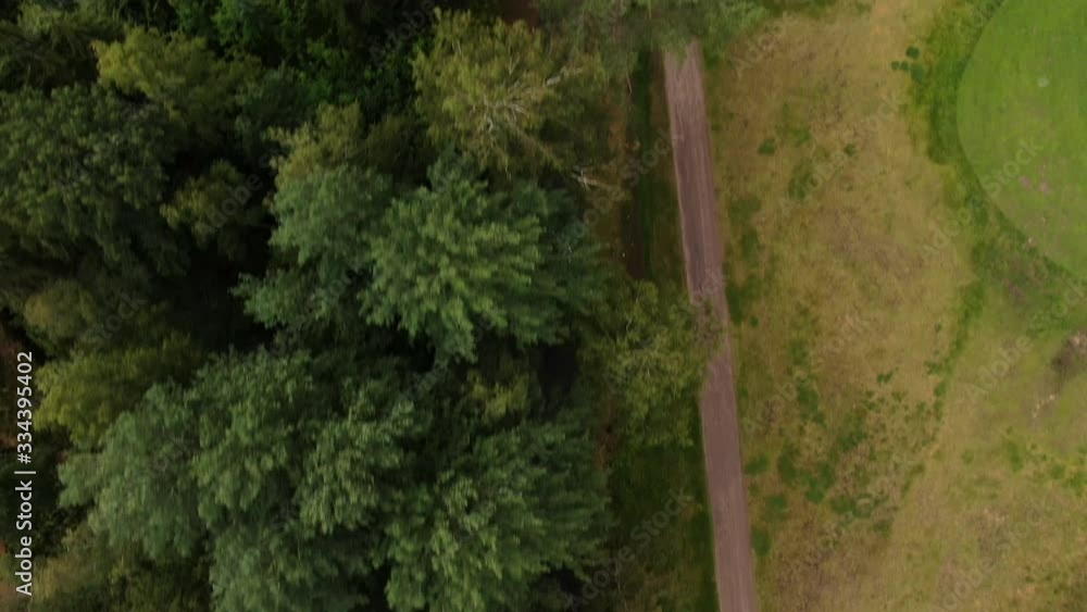 Aerial trucking shot of car driving through the woods. Aerial trucking shot of car driving through the woods.