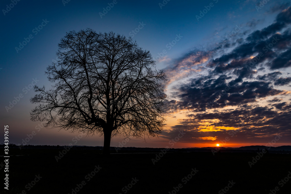 lindenbaum lindenbaum
